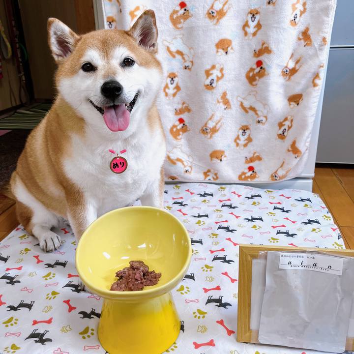 Bb9ed0d4 5c06 40f3 bea6 180a3e13a386 1692576565956