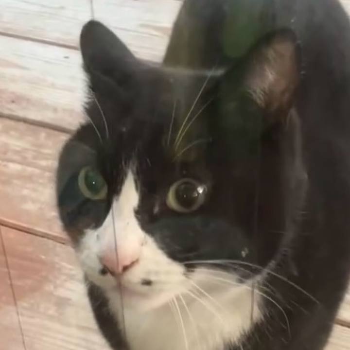 Bb9f1a46 268c 48cd befc 5b79799b2ecb 1737374318139