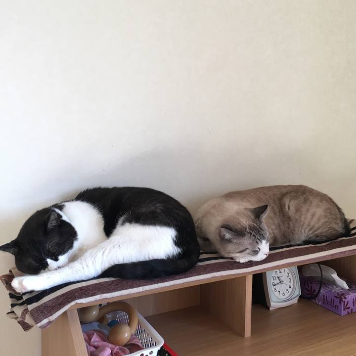 Bb9f38cd 9f90 45b9 bdce 4dc0e77798b4 1542332555666