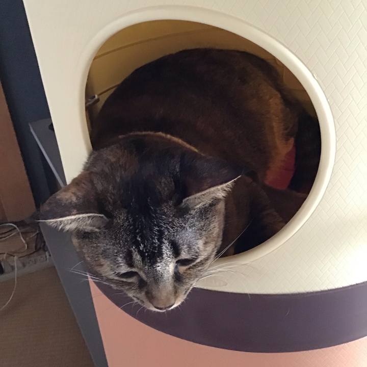 Bb9f716d b735 4c27 a6cd 083a73e8baf3 1660563183959