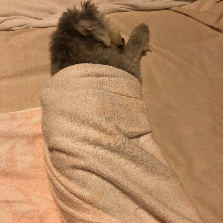 Bba02cf6 ea63 4843 a191 6307fd5931f1 1597190669141