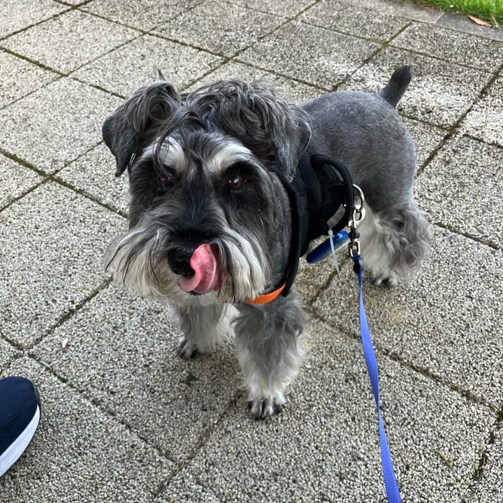 Bba06aff ae3d 4902 87ad 9e8137e95b0d 1727560110225