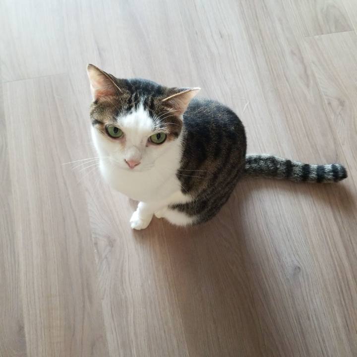 Bba07e06 c955 4dc3 8dd3 e3dba48f6616 1591647970433