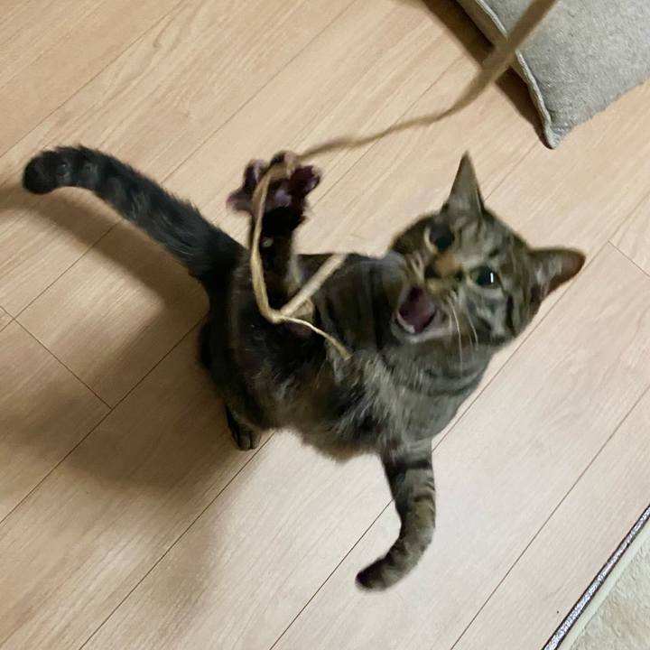 Bba08743 988c 480a 84b8 8757b3a46b9b 1648638747355