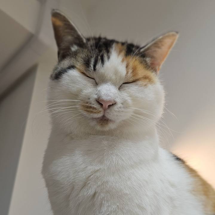 Bba0a2c0 89f3 4ed0 96ce 7e8a89dac875 1768356136332