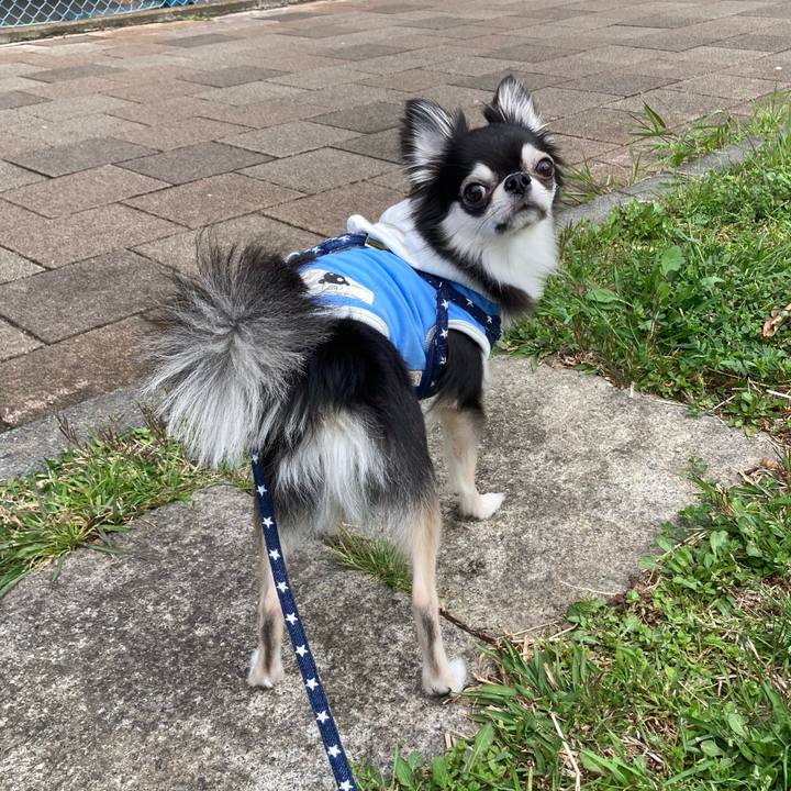 Bba0c006 8d5d 4f15 8852 b7270fc32153 1648363283876