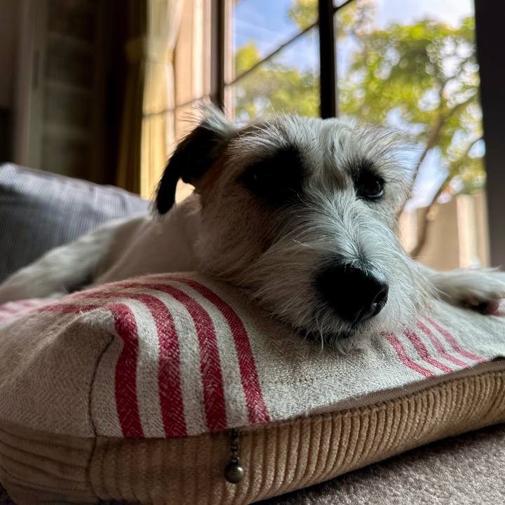 Bba0d836 a629 44ad a795 666fffc7cc67 1699182771375