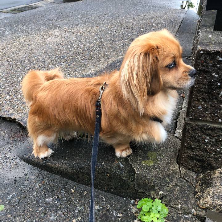 Bba12d2f e704 456b 85b4 8f5b2509a3b1 1525819059367