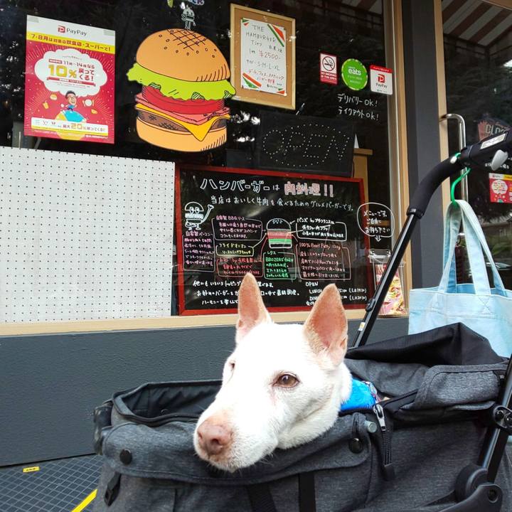 Bba13dc6 74c8 4a01 8bb5 16b7e149f1d4 1564789105938