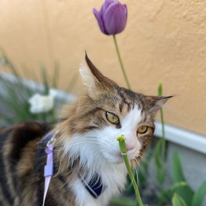 Bba14c98 b98b 47bc 9493 96846d6ec8aa 1651999554061