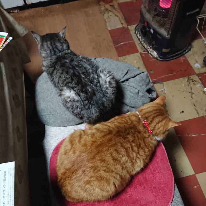 Bba1b195 4bb6 4303 81e3 089c1a5182e4 1577135640897