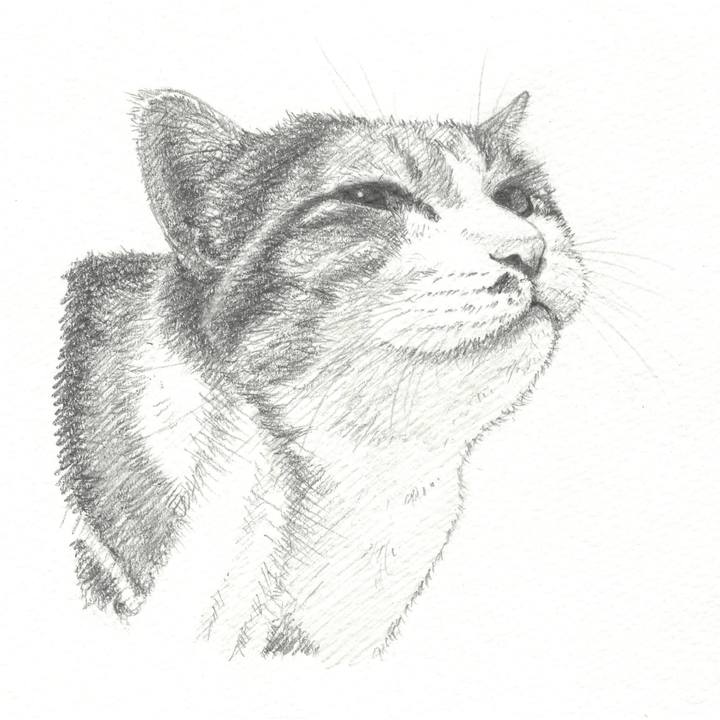 Bba1c1b9 f535 4b8e bb00 827b50ddb3df 1544015854797