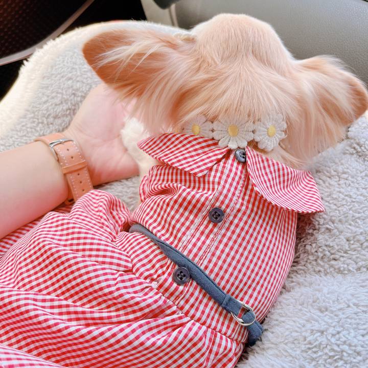 Bba1f221 76e9 40be 8f76 f4612ea625ab 1662257436230