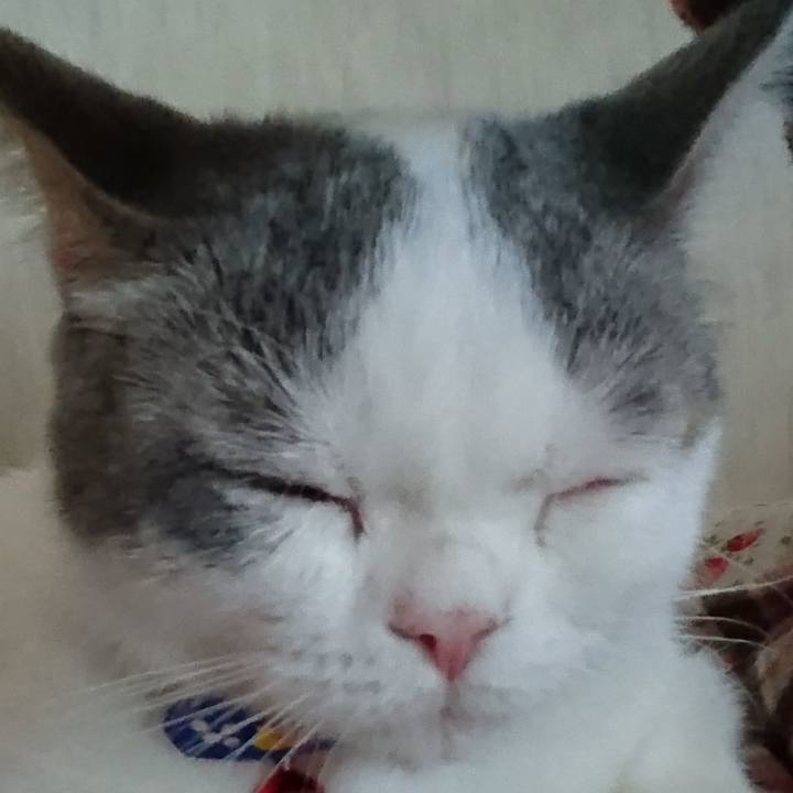 Bba1fd23 79ac 4b57 ac98 ef7125621fd3 1537881671851