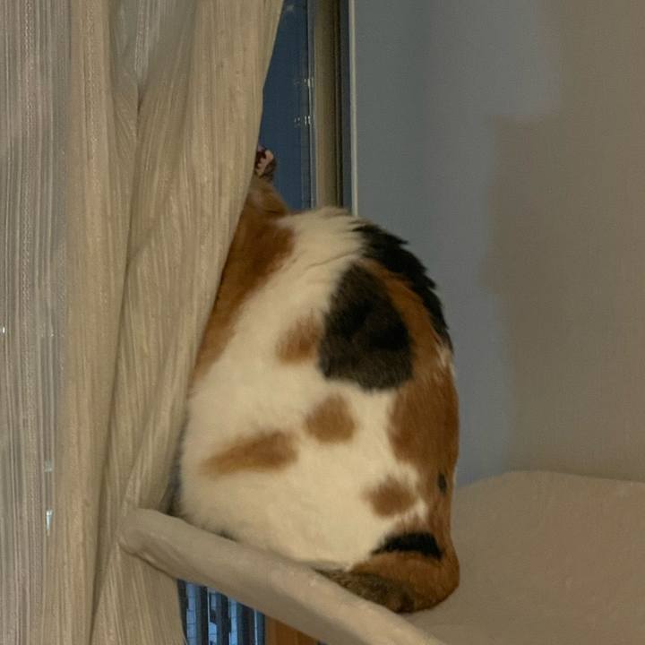 Bba21aa0 64b6 4487 a352 4d6bf2634098 1742037109661