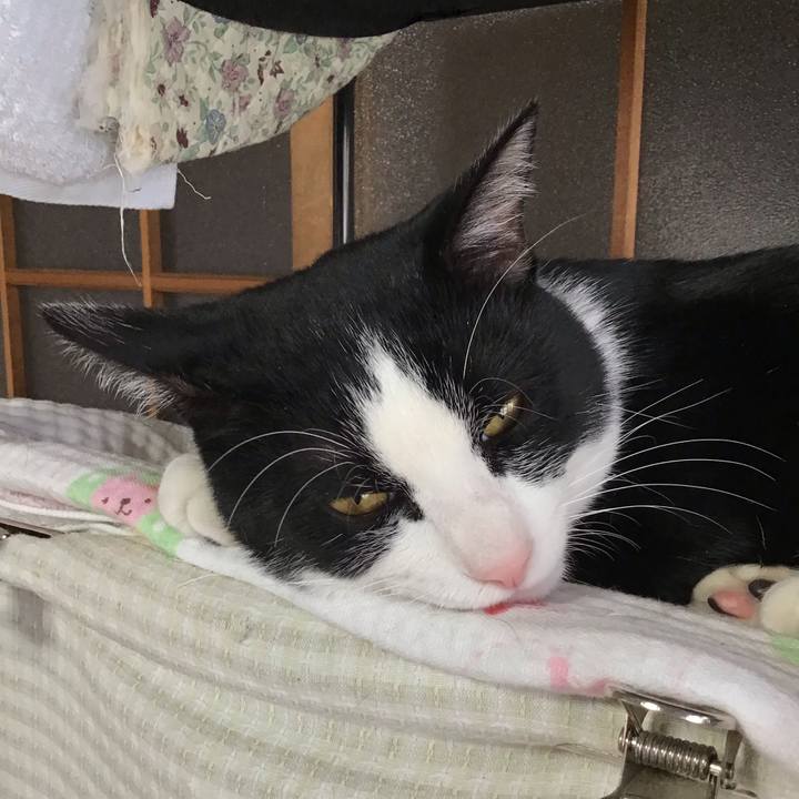 Bba22b09 81e6 4795 b4cd a4123b02bf29 1642204867089