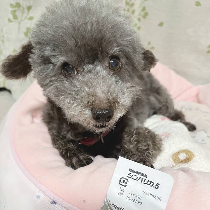 Bba23ace 5246 4ff3 bf26 1f1e1aafc0d1 1751540318326