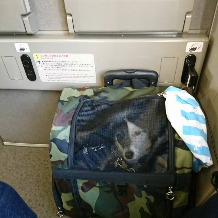 Bba24fe9 a93a 4d4b 960d d642bb7e6ad0 1511586165645