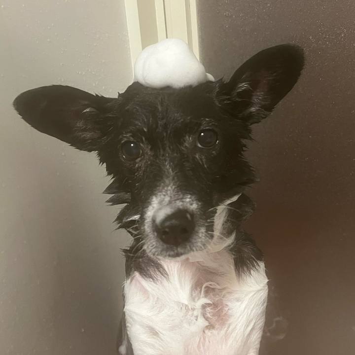 Bba27e48 f2dd 47c1 a609 cfec460049b1 1698073586381