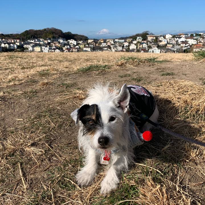 Bba280a8 25f4 4092 a270 66b3ae16de06 1704761726965