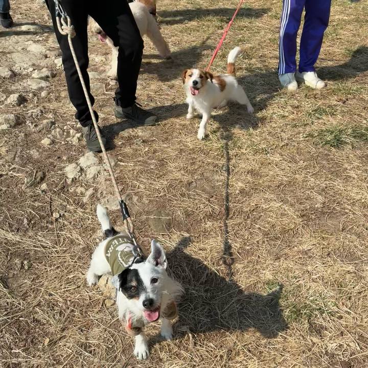 Bba28f73 40f2 4300 9d6c 618f10dd07a9 1771119292197