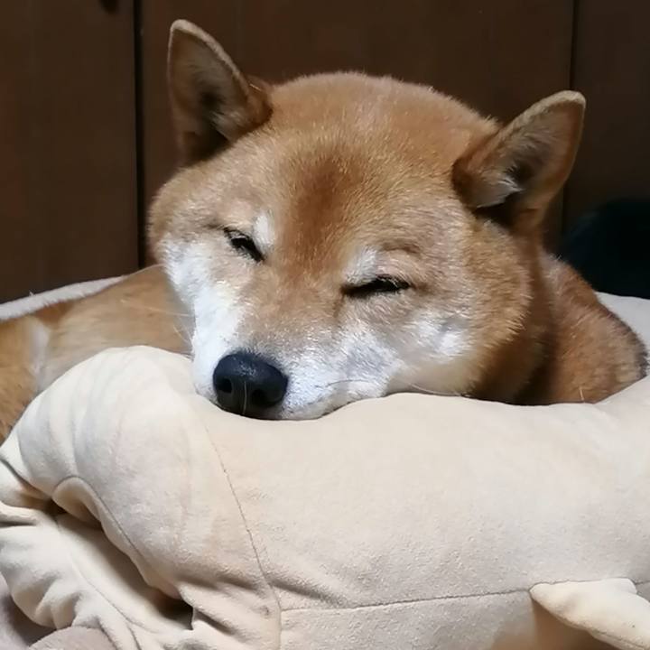 Bba29528 2716 4744 a7f0 12c1a253101c 1582025066192