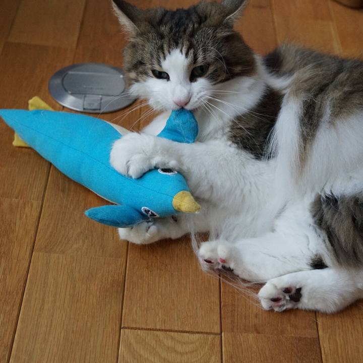 Bba2c9b3 ad59 4b4c a01b 2dc55d4f5fd6 1570519837123