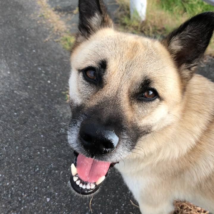 Bba2d6b1 b18a 4126 8667 a65621babe8f 1565264594769