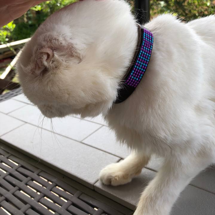 Bba2d6ba bf5d 41ca b438 d6ee7fed4adf 1623461403810