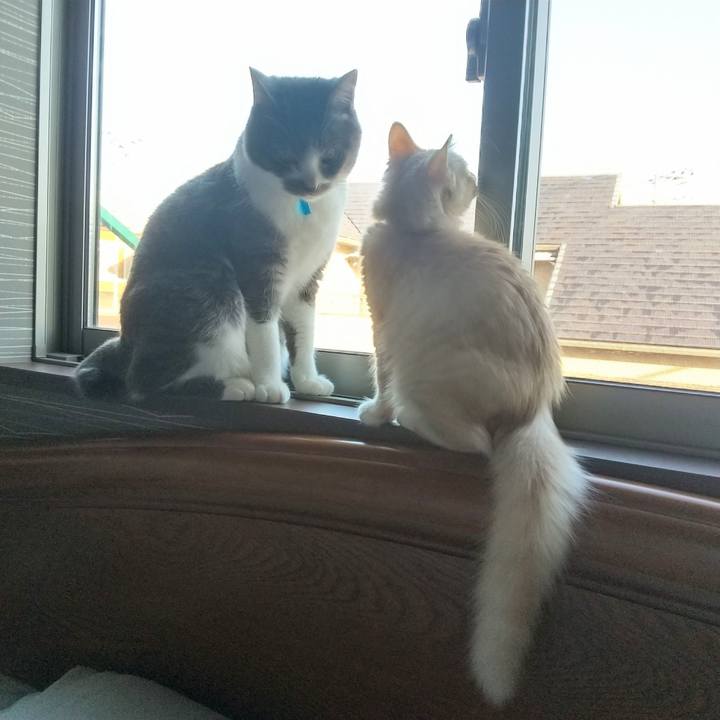 Bba302b9 ffcb 495d a735 1033f7594690 1607219750877