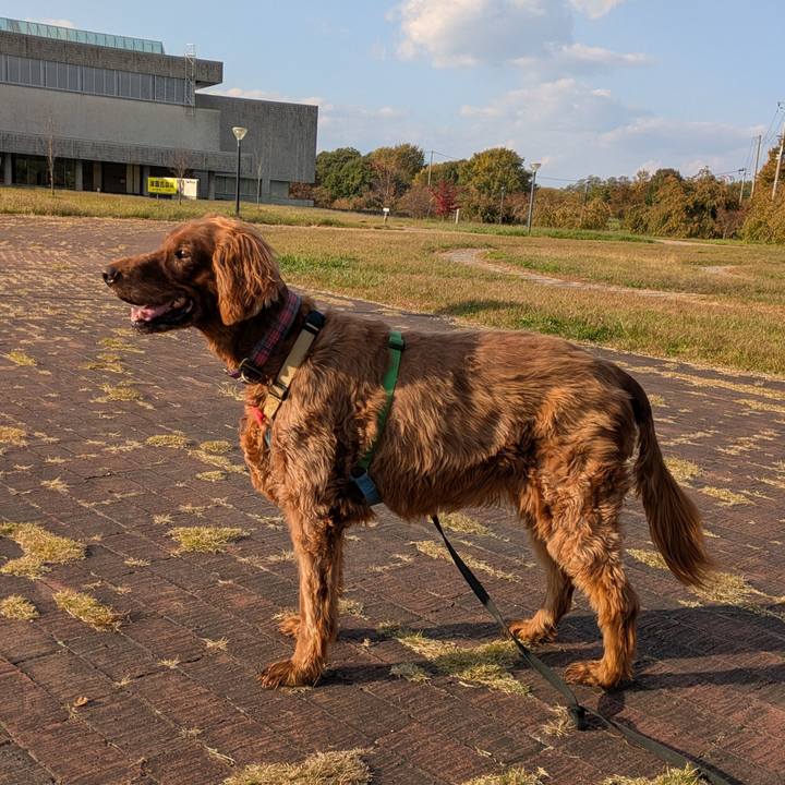 Bba30f3b 5d9c 445e 9759 d95bc1751afd 1761730571937