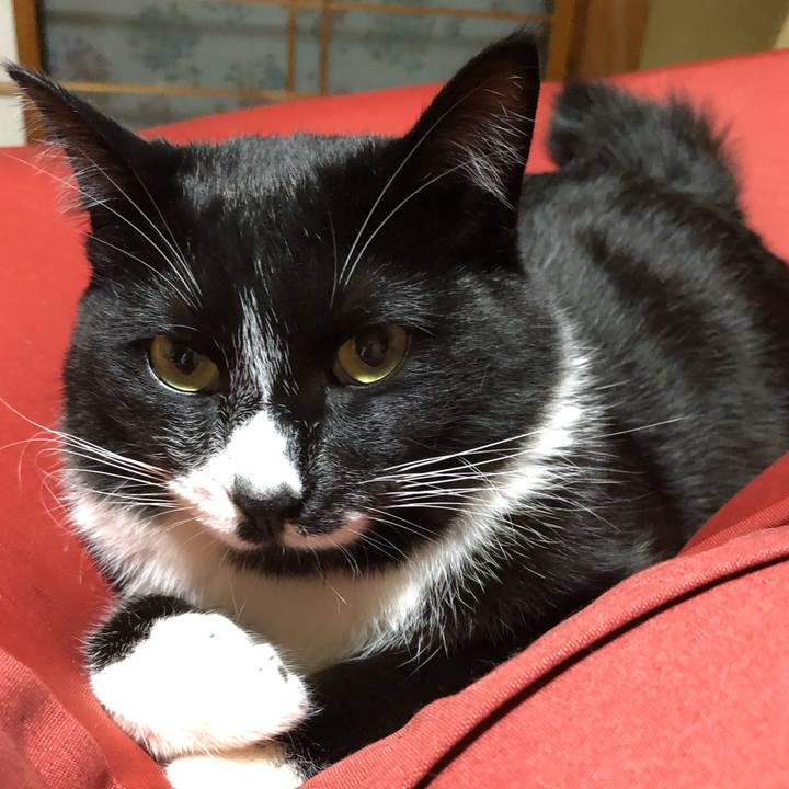 Bba328f6 59db 454c a697 adc040e099df 1524195798226