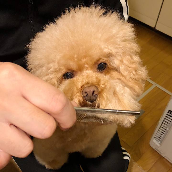 Bba32e75 118f 4bc9 b7e2 2147e130e053 1513513740502