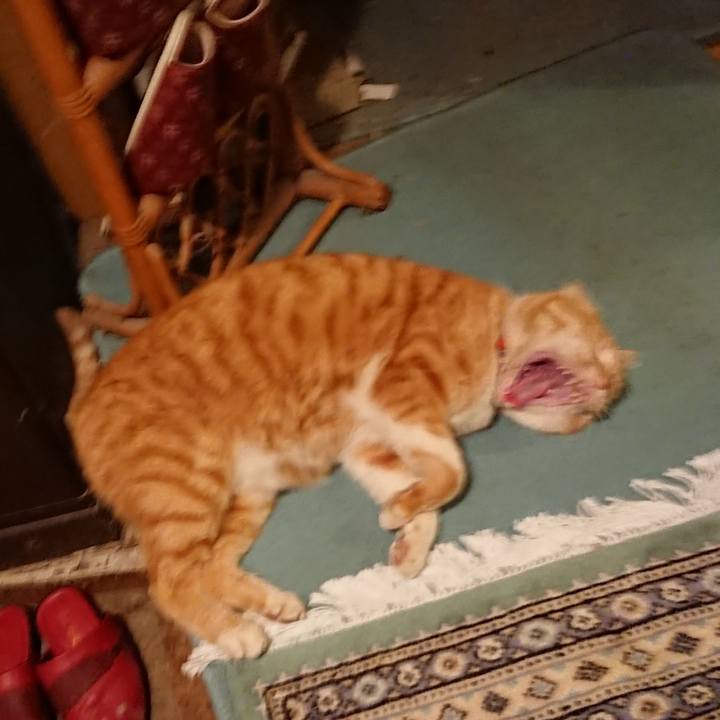 Bba34232 36df 40f0 b0ec 432d81f68023 1578559682224