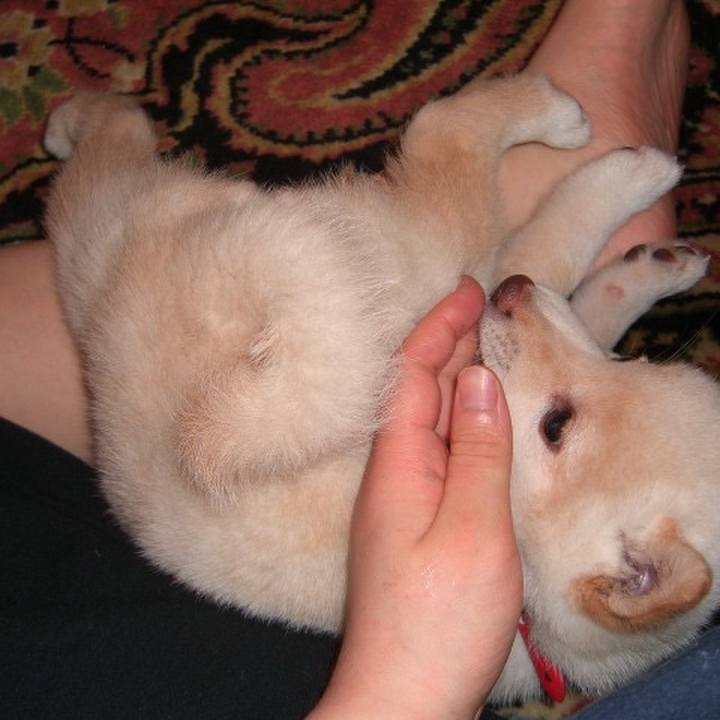 Bba347a5 4873 42ec 9ed4 bf5ad6db503c 1655221761878