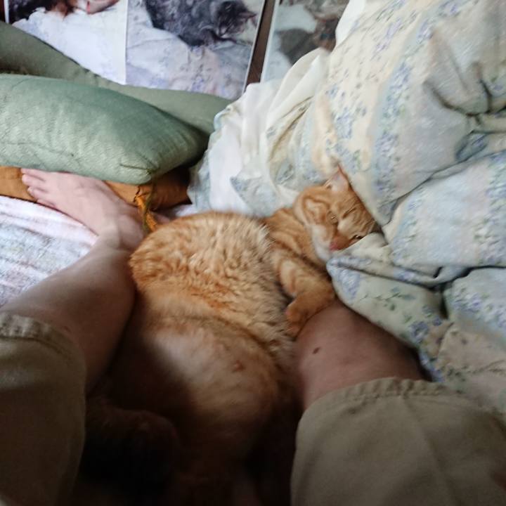 Bba385c6 60a4 4ad9 a74a f098ff5eda99 1658122435197