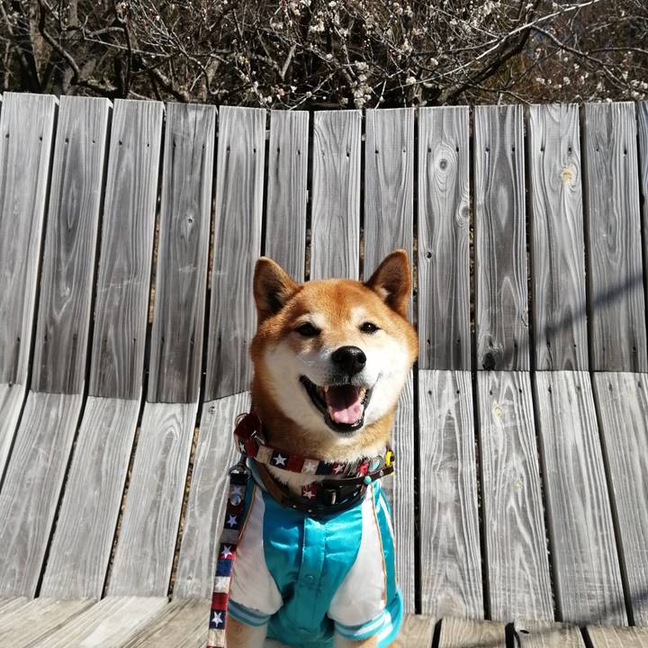 Bba39fb4 3811 4f41 b28d 88afe319f611 1645542282735