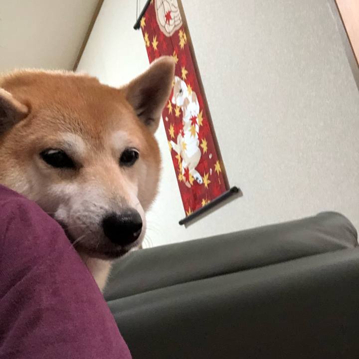 Bba3c18b 2085 44c2 a2af f7a0796a4dee 1571065261631