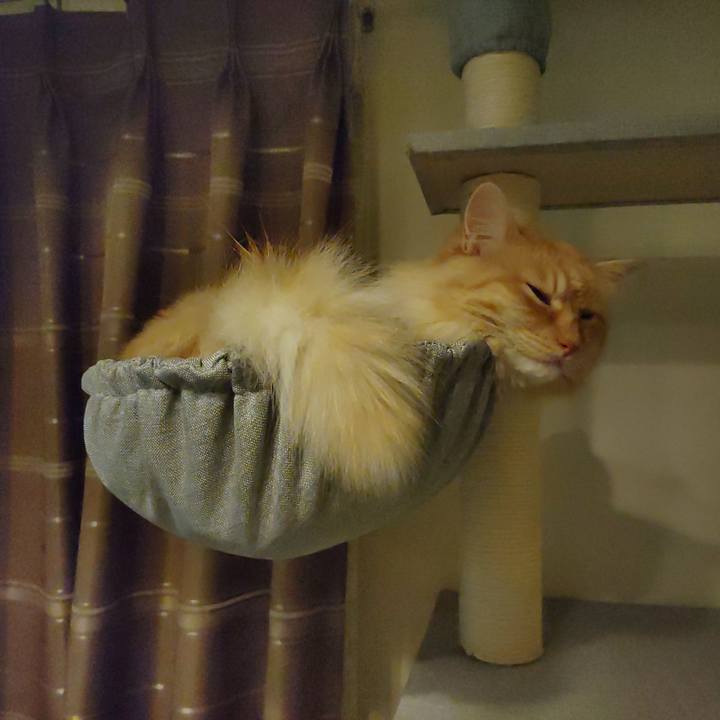 Bba3ce7f 481b 4440 9310 6bd3e1533bfc 1654698279001