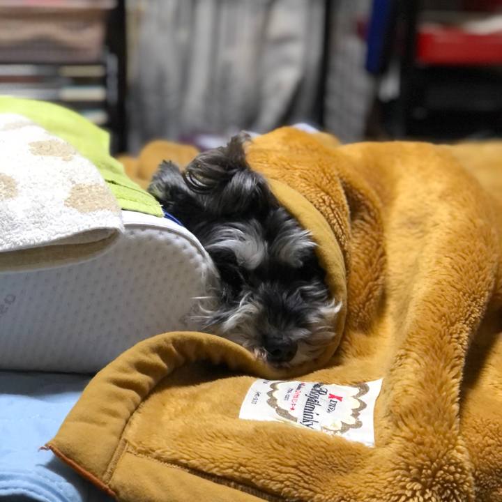 Bba3cfa7 2f35 4de1 b07b faa355f0b5fd 1634892844814