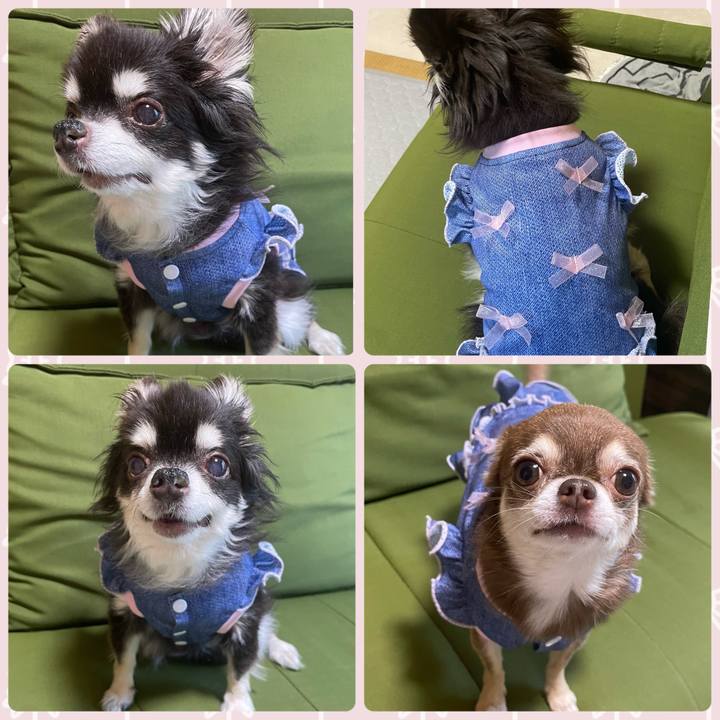 Bba3fbdb 8141 45e7 82a3 13c5443e38f4 1723040544979