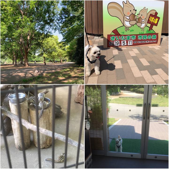 Bba42c0d f2cd 4845 925b 07bc0d9b9ad5 1557564885785