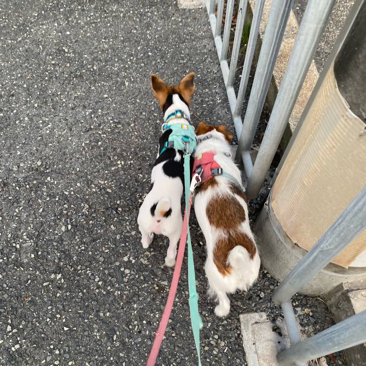 Bba444e2 5910 43ea 999c c1de1033b364 1748691954892