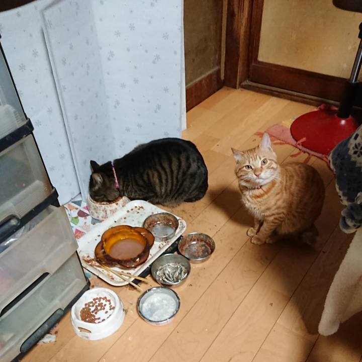 Bba47191 1a7f 419b b1d1 2cbf8f7b4a9e 1644228866370