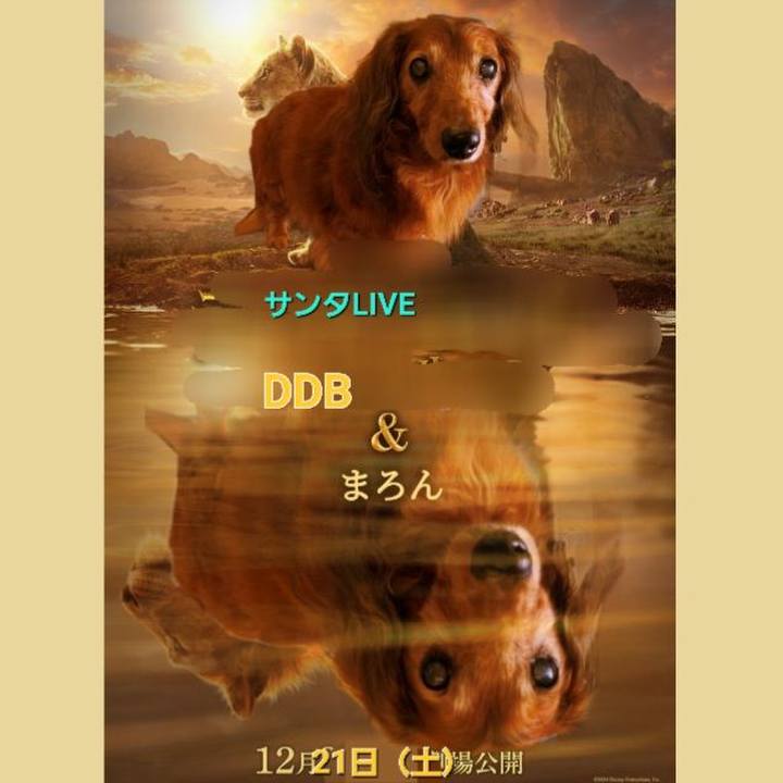 Bba485c4 0ea8 4ade bd9b 9fa658c4b6e2 1734768881328