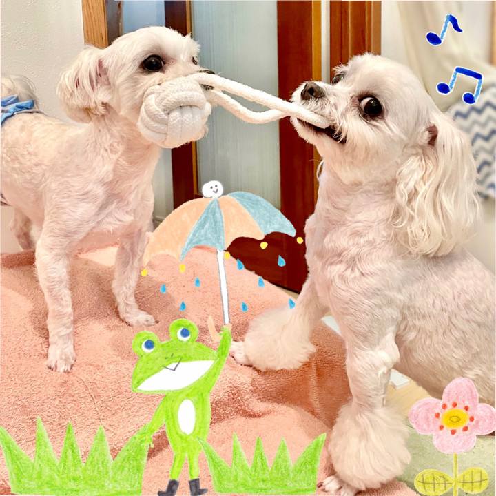 Bba4a584 6830 49e8 89ab 466fa09fba05 1621592466894