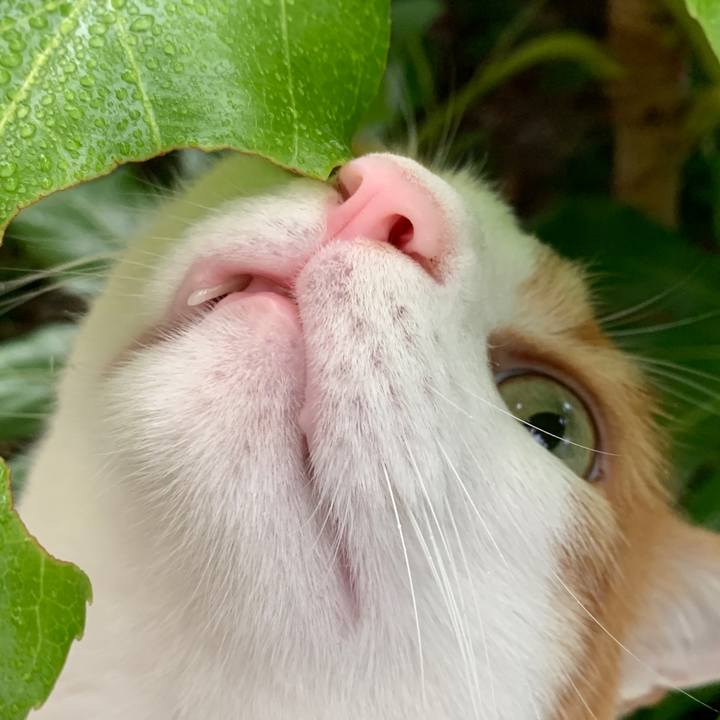 Bba527c5 4065 419f 96b3 1182188903d5 1628722597713