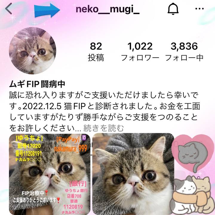 Bba52b2e 3d8b 47e1 abc1 51cea7ab2e36 1674731278975