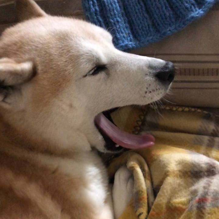 Bba54d8b cd5e 4174 992c a9694cf33bed 1548207811480