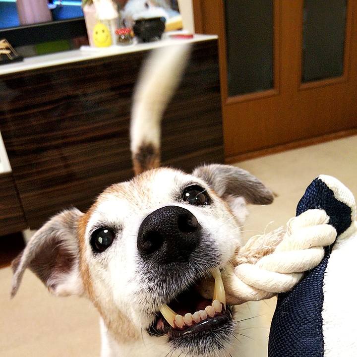 Bba55673 6b71 46c7 a604 c8508636ab32 1594536515266